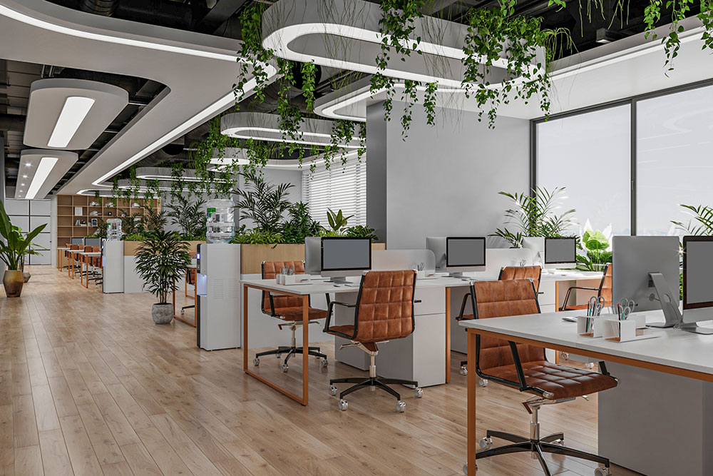 Commercial umbrella Content Image